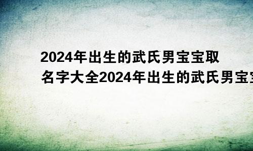 2024年出生的武氏男宝宝取名字大全2024年出生的武氏男宝宝取名字怎么取