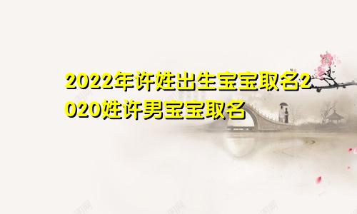 2022年许姓出生宝宝取名2020姓许男宝宝取名