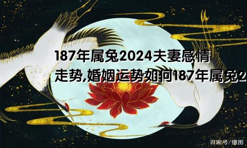 187年属兔2024夫妻感情走势,婚姻运势如何187年属兔2024夫妻感情走势,婚姻运势怎么样