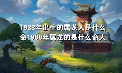 1988年出生的属龙人是什么命1988年属龙的是什么命人