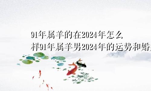 91年属羊的在2024年怎么样91年属羊男2024年的运势和婚姻