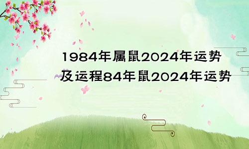 1984年属鼠2024年运势及运程84年鼠2024年运势