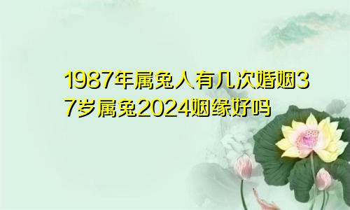 1987年属兔人有几次婚姻37岁属兔2024姻缘好吗