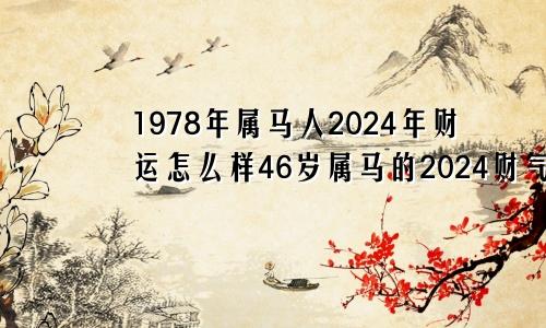 1978年属马人2024年财运怎么样46岁属马的2024财气好吗