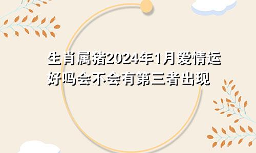 生肖属猪2024年1月爱情运好吗会不会有第三者出现