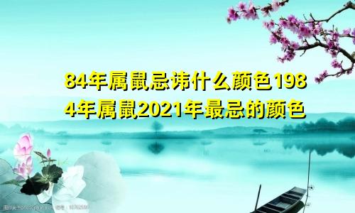 84年属鼠忌讳什么颜色1984年属鼠2021年最忌的颜色