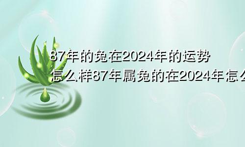 87年的兔在2024年的运势怎么样87年属兔的在2024年怎么样?