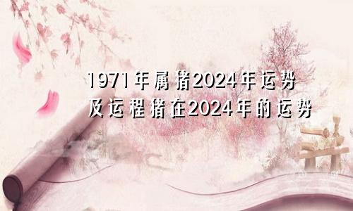 1971年属猪2024年运势及运程猪在2024年的运势