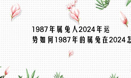 1987年属兔人2024年运势如何1987年的属兔在2024怎么样