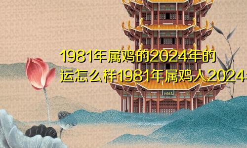 1981年属鸡的2024年的运怎么样1981年属鸡人2024年的命运