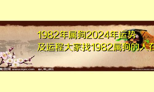 1982年属狗2024年运势及运程大家找1982属狗的人在2024年怎么样