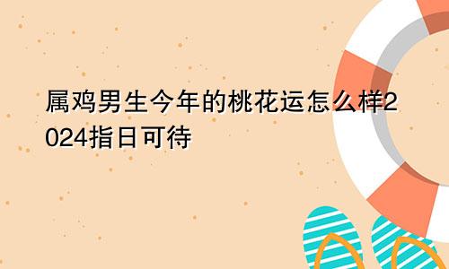 属鸡男生今年的桃花运怎么样2024指日可待