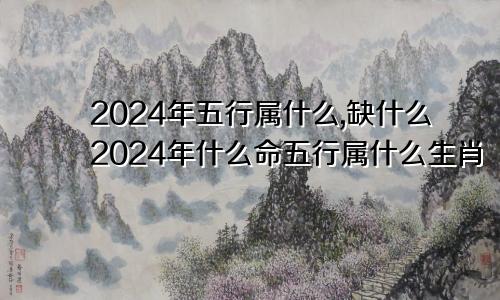 2024年五行属什么,缺什么2024年什么命五行属什么生肖