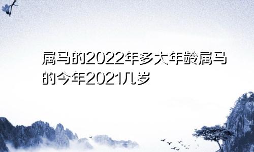 属马的2022年多大年龄属马的今年2021几岁