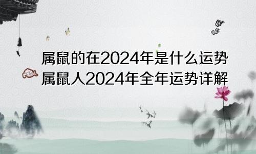 属鼠的在2024年是什么运势属鼠人2024年全年运势详解