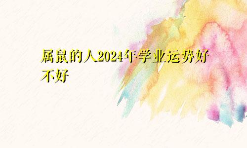 属鼠的人2024年学业运势好不好