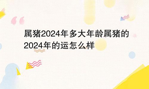 属猪2024年多大年龄属猪的2024年的运怎么样