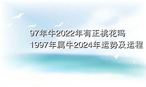 97年牛2022年有正桃花吗1997年属牛2024年运势及运程