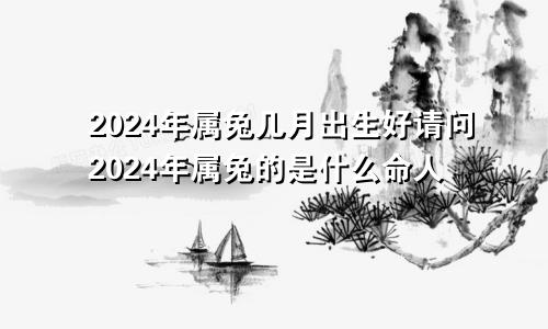 2024年属兔几月出生好请问2024年属兔的是什么命人