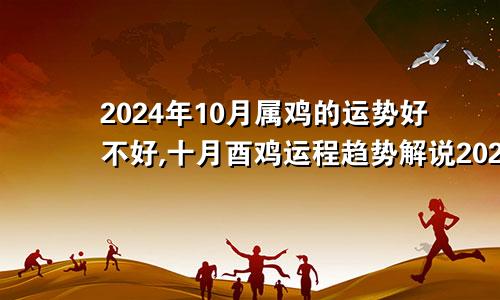 2024年10月属鸡的运势好不好,十月酉鸡运程趋势解说2024年属鸡人的全年每月