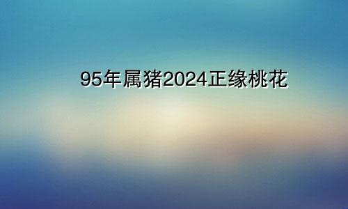 95年属猪2024正缘桃花