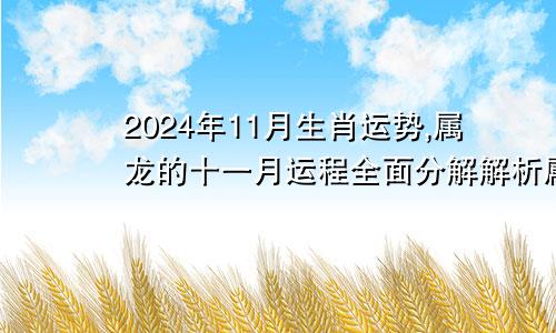 2024年11月生肖运势,属龙的十一月运程全面分解解析属龙2021年11月份运势如何