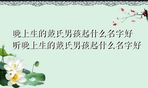 晚上生的戴氏男孩起什么名字好听晚上生的戴氏男孩起什么名字好