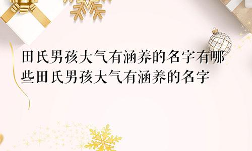 田氏男孩大气有涵养的名字有哪些田氏男孩大气有涵养的名字