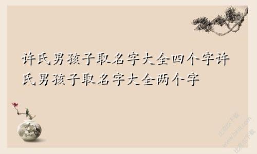 许氏男孩子取名字大全四个字许氏男孩子取名字大全两个字