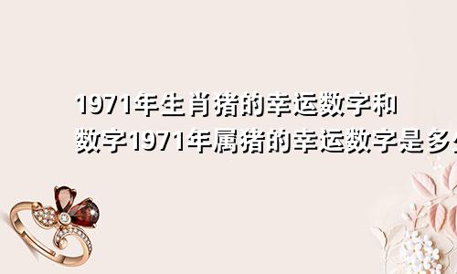 1971年生肖猪的幸运数字和数字1971年属猪的幸运数字是多少