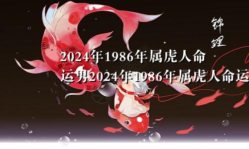 2024年1986年属虎人命运男2024年1986年属虎人命运怎么样