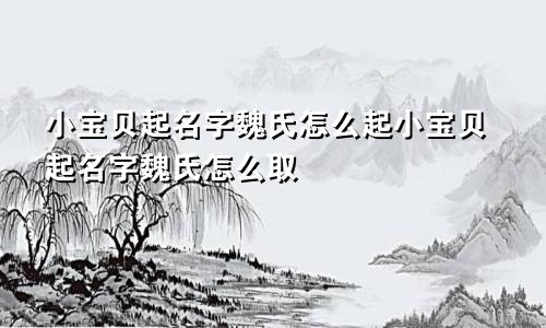 小宝贝起名字魏氏怎么起小宝贝起名字魏氏怎么取