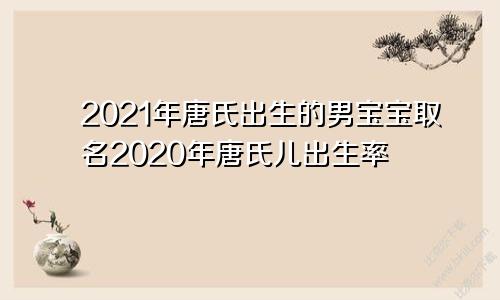 2021年唐氏出生的男宝宝取名2020年唐氏儿出生率