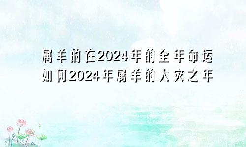 属羊的在2024年的全年命运如何2024年属羊的大灾之年