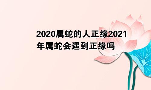 2020属蛇的人正缘2021年属蛇会遇到正缘吗