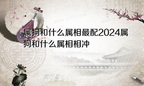 属狗和什么属相最配2024属狗和什么属相相冲