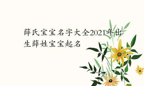 薛氏宝宝名字大全2021年出生薛姓宝宝起名