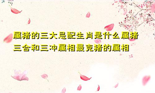 属猪的三大忌配生肖是什么属猪三合和三冲属相最克猪的属相