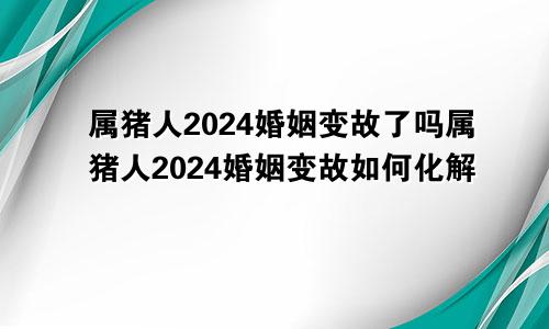 属猪人2024婚姻变故了吗属猪人2024婚姻变故如何化解