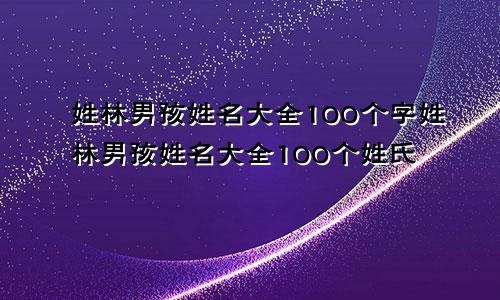 姓林男孩姓名大全100个字姓林男孩姓名大全100个姓氏