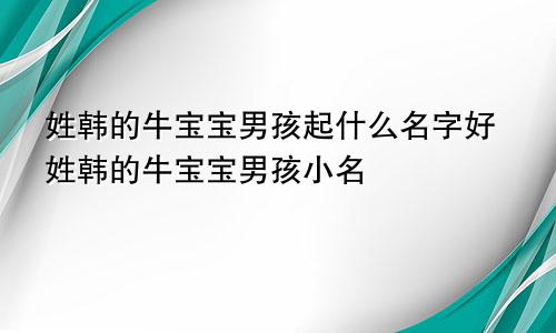 姓韩的牛宝宝男孩起什么名字好姓韩的牛宝宝男孩小名