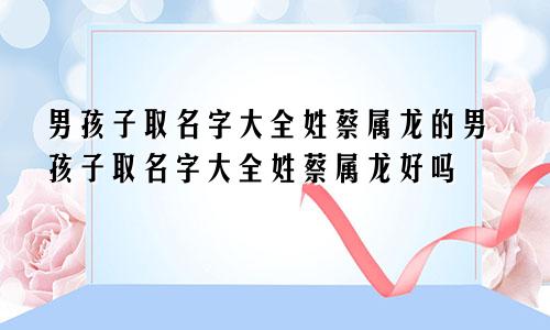 男孩子取名字大全姓蔡属龙的男孩子取名字大全姓蔡属龙好吗