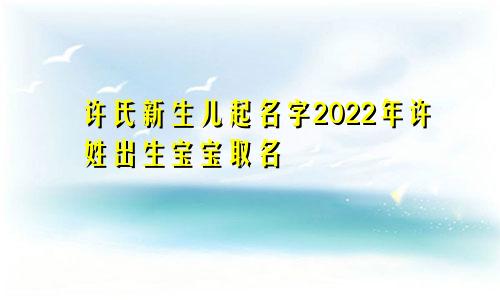 许氏新生儿起名字2022年许姓出生宝宝取名