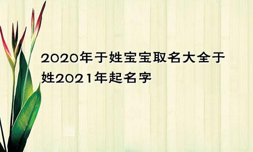 2020年于姓宝宝取名大全于姓2021年起名字