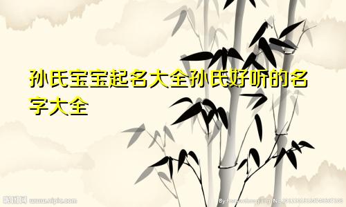 孙氏宝宝起名大全孙氏好听的名字大全