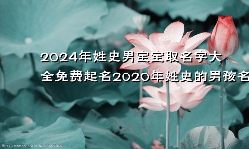 2024年姓史男宝宝取名字大全免费起名2020年姓史的男孩名字