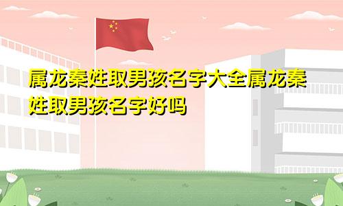 属龙秦姓取男孩名字大全属龙秦姓取男孩名字好吗