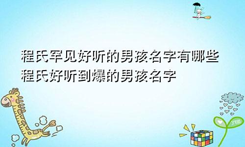 程氏罕见好听的男孩名字有哪些程氏好听到爆的男孩名字