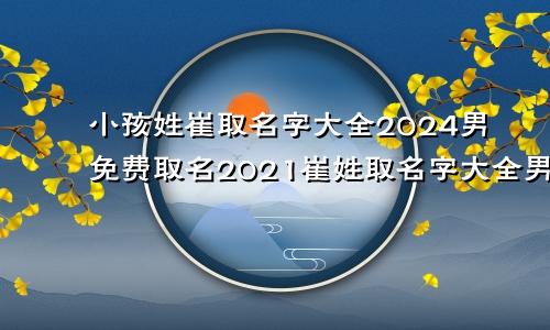 小孩姓崔取名字大全2024男免费取名2021崔姓取名字大全男孩免费