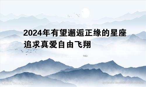 2024年有望邂逅正缘的星座追求真爱自由飞翔